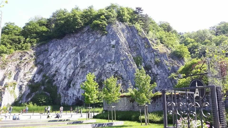 Titi'S Chalet Durbuy Kültér fotó