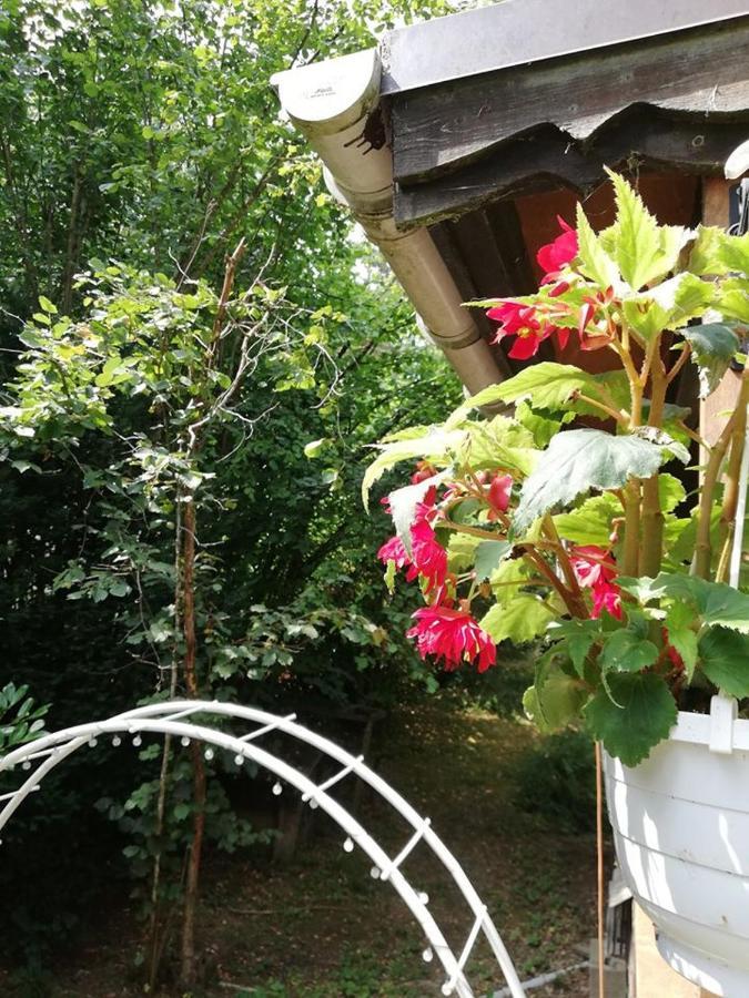 Titi'S Chalet Durbuy Kültér fotó