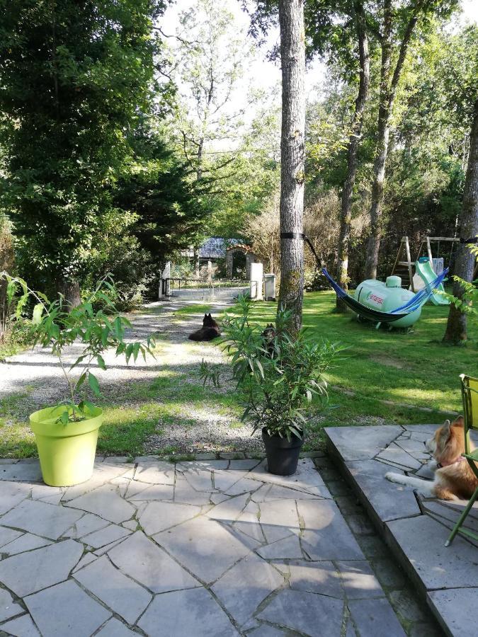 Titi'S Chalet Durbuy Kültér fotó