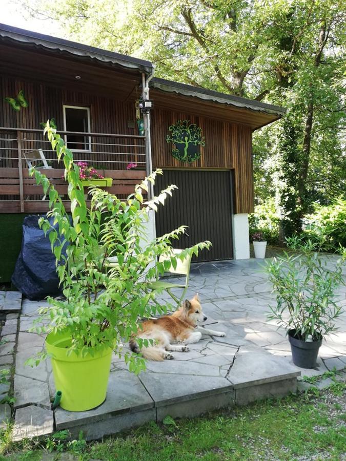 Titi'S Chalet Durbuy Kültér fotó